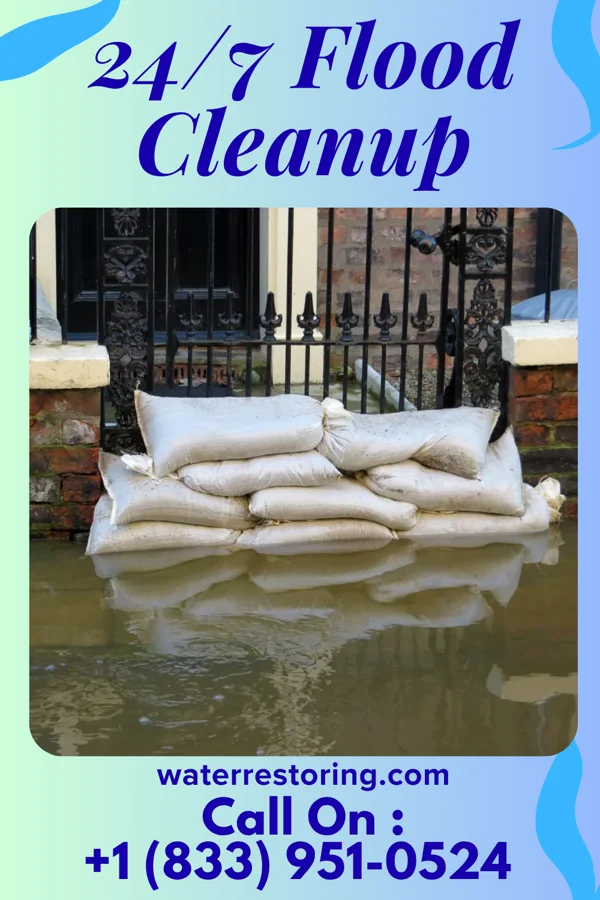 24/7 Flood Cleanup in Viola, IL