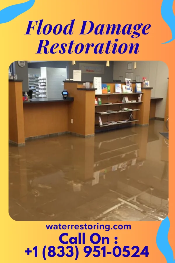 Flood Damage Restoration in Viola, IL